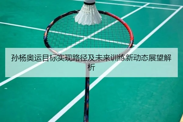 孙杨奥运目标实现路径及未来训练新动态展望解析