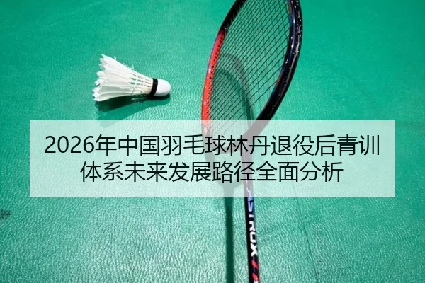 2026年中国羽毛球林丹退役后青训体系未来发展路径全面分析