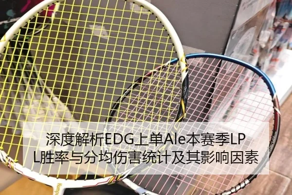 深度解析EDG上单Ale本赛季LPL胜率与分均伤害统计及其影响因素
